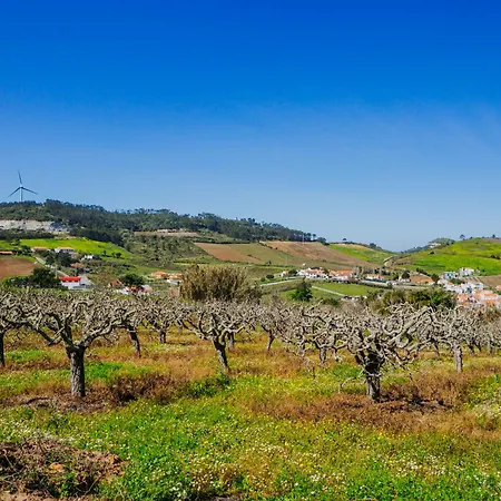 Daire Portuguese Village - Fast Wifi - Near Beaches Freiria