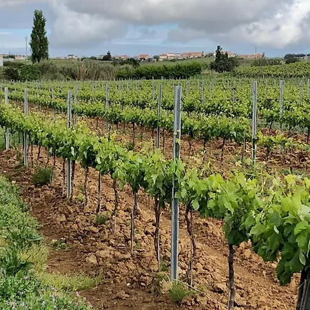 Portuguese Village - Casa Martins No.54 Appartement *