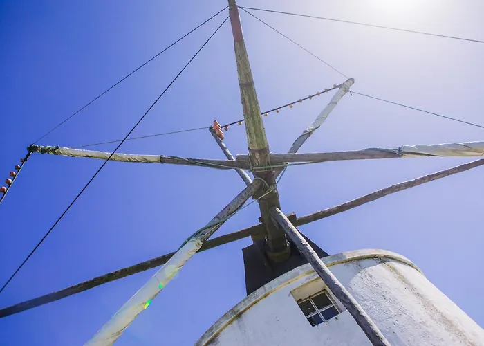 Portuguese Village - Casa Martins No.54 アパート Freiria