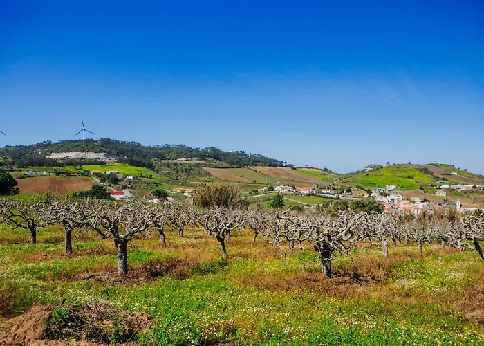 アパート Portuguese Village - Casa Martins No.54 Freiria