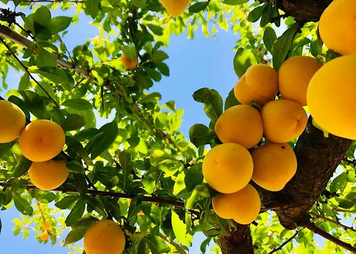 Portuguese Village - Casa Martins No.54 *